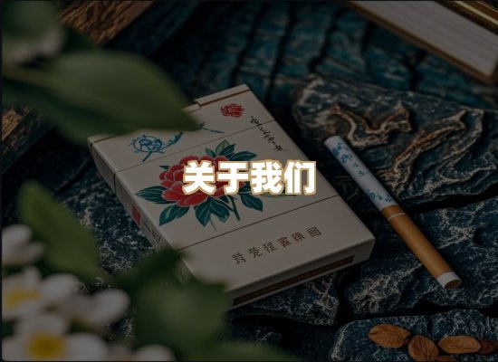 关于云歌烟网
